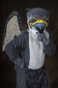 Filename=_DSC1972.jpg
Filesize=4291KiB
Dimensions=2860x4296
Date added=Feb 04, 2008 _DSC1972.jpg