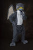 Filename=_DSC1973.jpg
Filesize=4080KiB
Dimensions=2860x4296
Date added=Feb 04, 2008 _DSC1973.jpg