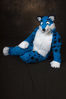 Filename=_DSC1980.jpg
Filesize=4095KiB
Dimensions=2860x4296
Date added=Feb 04, 2008 _DSC1980.jpg