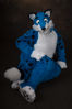 Filename=_DSC1983.jpg
Filesize=4053KiB
Dimensions=2860x4296
Date added=Feb 04, 2008 _DSC1983.jpg