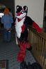 Filename=DSC_1366.jpg
Filesize=3304KiB
Dimensions=2860x4296
Date added=Nov 28, 2005 DSC_1366.jpg