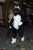 Filename=DSC_1421.jpg
Filesize=2383KiB
Dimensions=2860x4296
Date added=Nov 28, 2005 DSC_1421.jpg