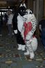 Filename=DSC_1430.jpg
Filesize=3078KiB
Dimensions=2860x4296
Date added=Nov 28, 2005 DSC_1430.jpg