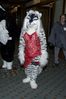 Filename=DSC_1431.jpg
Filesize=3373KiB
Dimensions=2860x4296
Date added=Nov 28, 2005 DSC_1431.jpg