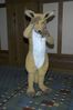 Filename=DSC_1433.jpg
Filesize=2880KiB
Dimensions=2860x4296
Date added=Nov 28, 2005 DSC_1433.jpg