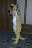 Filename=DSC_1434.jpg
Filesize=3029KiB
Dimensions=2860x4296
Date added=Nov 28, 2005 DSC_1434.jpg