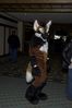 Filename=DSC_1455.jpg
Filesize=3190KiB
Dimensions=2860x4296
Date added=Nov 28, 2005 DSC_1455.jpg