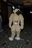 Filename=DSC_1456.jpg
Filesize=3017KiB
Dimensions=2860x4296
Date added=Nov 28, 2005 DSC_1456.jpg