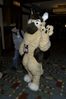 Filename=DSC_1458.jpg
Filesize=3227KiB
Dimensions=2860x4296
Date added=Nov 28, 2005 DSC_1458.jpg