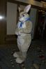 Filename=DSC_1479.jpg
Filesize=3102KiB
Dimensions=2860x4296
Date added=Nov 28, 2005 DSC_1479.jpg