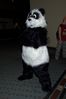 Filename=DSC_1594.jpg
Filesize=2619KiB
Dimensions=2860x4296
Date added=Nov 28, 2005 DSC_1594.jpg