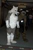 Filename=DSC_1598.jpg
Filesize=2906KiB
Dimensions=2860x4296
Date added=Nov 28, 2005 DSC_1598.jpg