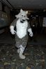 Filename=DSC_1599.jpg
Filesize=2859KiB
Dimensions=2860x4296
Date added=Nov 28, 2005 DSC_1599.jpg