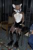 Filename=DSC_1611.jpg
Filesize=3707KiB
Dimensions=2860x4296
Date added=Nov 28, 2005 DSC_1611.jpg