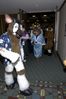 Filename=DSC_1621.jpg
Filesize=3452KiB
Dimensions=2860x4296
Date added=Nov 28, 2005 DSC_1621.jpg