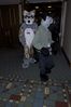 Filename=DSC_1636.jpg
Filesize=3465KiB
Dimensions=2860x4296
Date added=Nov 28, 2005 DSC_1636.jpg