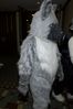 Filename=DSC_1680.jpg
Filesize=3086KiB
Dimensions=2860x4296
Date added=Nov 28, 2005 DSC_1680.jpg