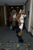 Filename=DSC_1684.jpg
Filesize=3050KiB
Dimensions=2860x4296
Date added=Nov 28, 2005 DSC_1684.jpg