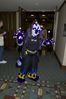 Filename=DSC_1689.jpg
Filesize=3214KiB
Dimensions=2860x4296
Date added=Nov 28, 2005 DSC_1689.jpg