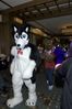 Filename=DSC_1692.jpg
Filesize=2936KiB
Dimensions=2860x4296
Date added=Nov 28, 2005 DSC_1692.jpg
