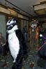 Filename=DSC_1694.jpg
Filesize=2817KiB
Dimensions=2860x4296
Date added=Nov 28, 2005 DSC_1694.jpg
