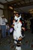 Filename=DSC_1701.jpg
Filesize=2813KiB
Dimensions=2860x4296
Date added=Nov 28, 2005 DSC_1701.jpg