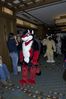 Filename=DSC_1702.jpg
Filesize=3119KiB
Dimensions=2860x4296
Date added=Nov 28, 2005 DSC_1702.jpg