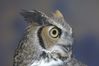 Filename=DSC_1765.jpg
Filesize=2505KiB
Dimensions=4296x2860
Date added=Nov 28, 2005 DSC_1765.jpg