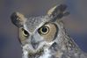 Filename=DSC_1768.jpg
Filesize=2983KiB
Dimensions=4296x2860
Date added=Nov 28, 2005 DSC_1768.jpg