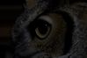 Filename=DSC_1783.jpg
Filesize=2690KiB
Dimensions=4296x2860
Date added=Nov 28, 2005 DSC_1783.jpg
