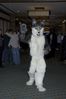 Filename=DSC_1856.jpg
Filesize=2733KiB
Dimensions=2860x4296
Date added=Nov 28, 2005 DSC_1856.jpg