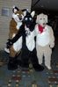 Filename=DSC_2082.jpg
Filesize=4211KiB
Dimensions=2860x4296
Date added=Nov 29, 2005 DSC_2082.jpg