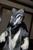 Filename=DSC_2114.jpg
Filesize=3068KiB
Dimensions=2860x4296
Date added=Nov 29, 2005 DSC_2114.jpg