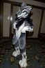 Filename=DSC_2116.jpg
Filesize=3338KiB
Dimensions=2860x4296
Date added=Nov 29, 2005 DSC_2116.jpg