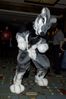 Filename=DSC_2118.jpg
Filesize=3406KiB
Dimensions=2860x4296
Date added=Nov 29, 2005 DSC_2118.jpg