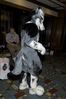 Filename=DSC_2122.jpg
Filesize=3703KiB
Dimensions=2860x4296
Date added=Nov 29, 2005 DSC_2122.jpg