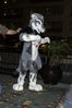 Filename=DSC_2125.jpg
Filesize=3995KiB
Dimensions=2860x4296
Date added=Nov 29, 2005 DSC_2125.jpg