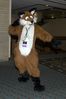 Filename=DSC_2128.jpg
Filesize=3569KiB
Dimensions=2860x4296
Date added=Nov 29, 2005 DSC_2128.jpg