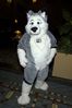Filename=DSC_2134.jpg
Filesize=3829KiB
Dimensions=2860x4296
Date added=Nov 29, 2005 DSC_2134.jpg