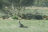DSCF6136.jpg