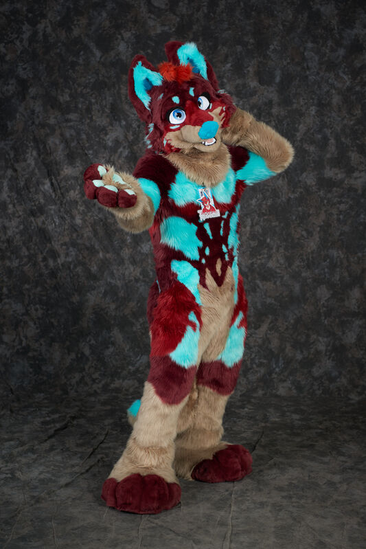 Click to view full size image