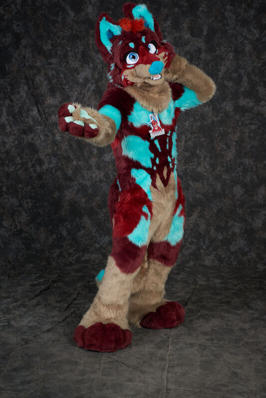 Click to view full size image