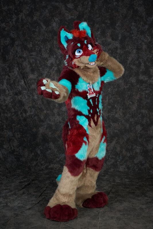 Click to view full size image