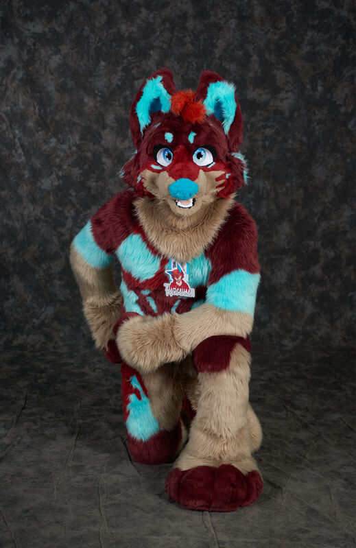 Click to view full size image