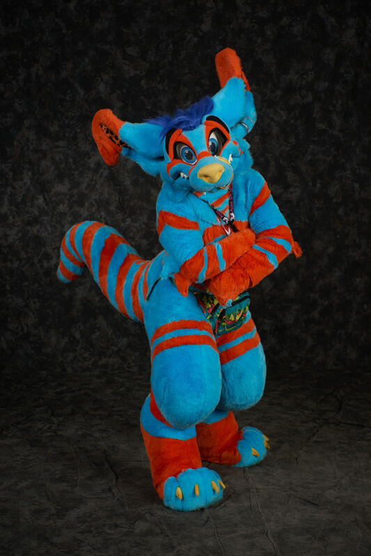 Click to view full size image