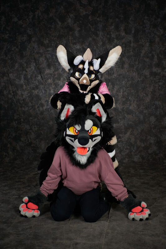 Click to view full size image