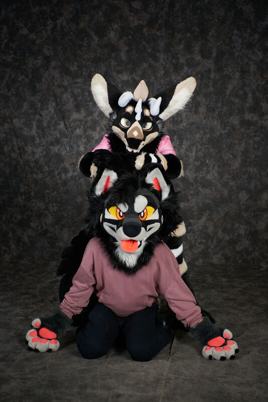 Click to view full size image